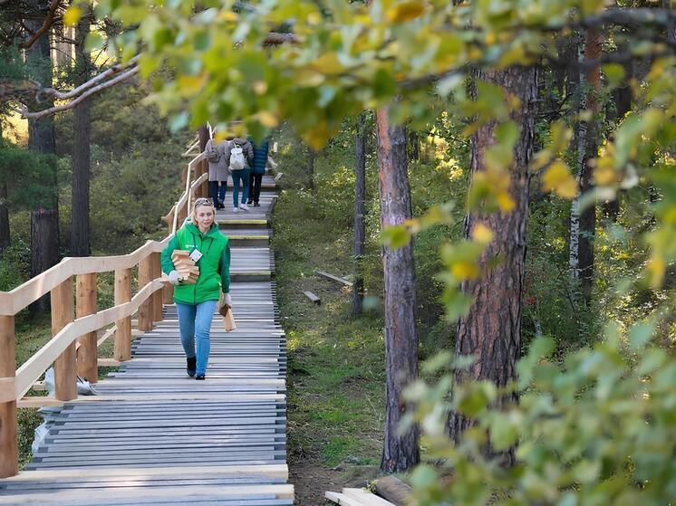 «Норникель» направил 374 млрд рублей в проекты развития «зеленой» экономики