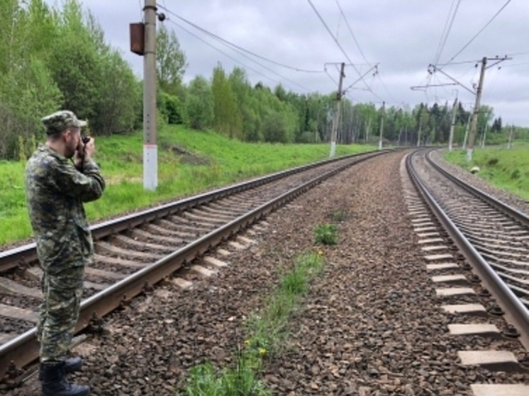 В Тамбовской области возле путей нашли погибшего мастера с пробитой головой