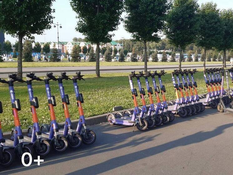 Петербуржцев научат безопасной езде на электросамокате