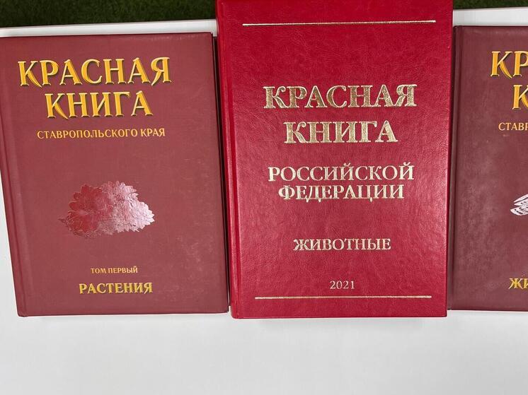 Переднеазиатский леопард стал посещать охотничьи угодья в Кабардино-Балкарии