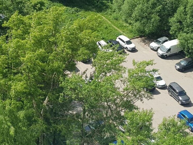 Из-за ветра объявили «желтый» уровень опасности на 28 мая