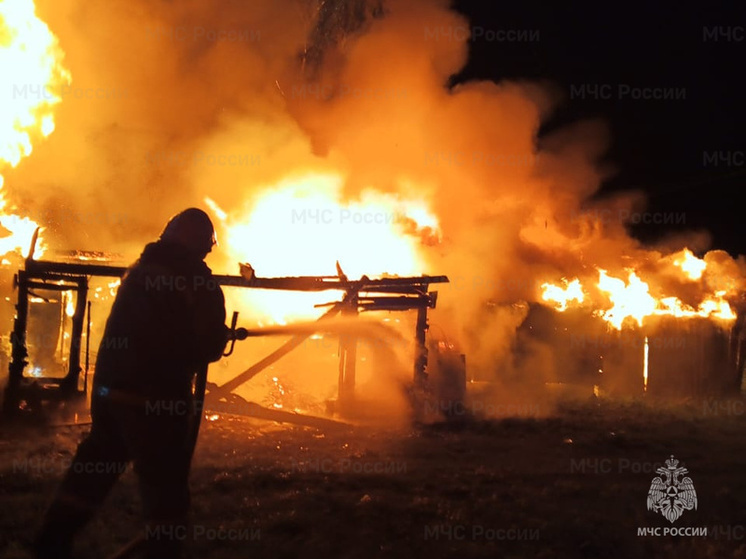 Под Сухиничами семеро пожарных спасали хозпостройку
