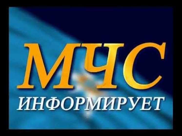 Костромское управление МЧС сообщает о пожаре в поселке Новый Поназыревского района