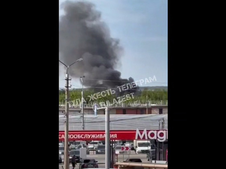 В Туле произошел пожар в районе гаражей у Павшинского моста