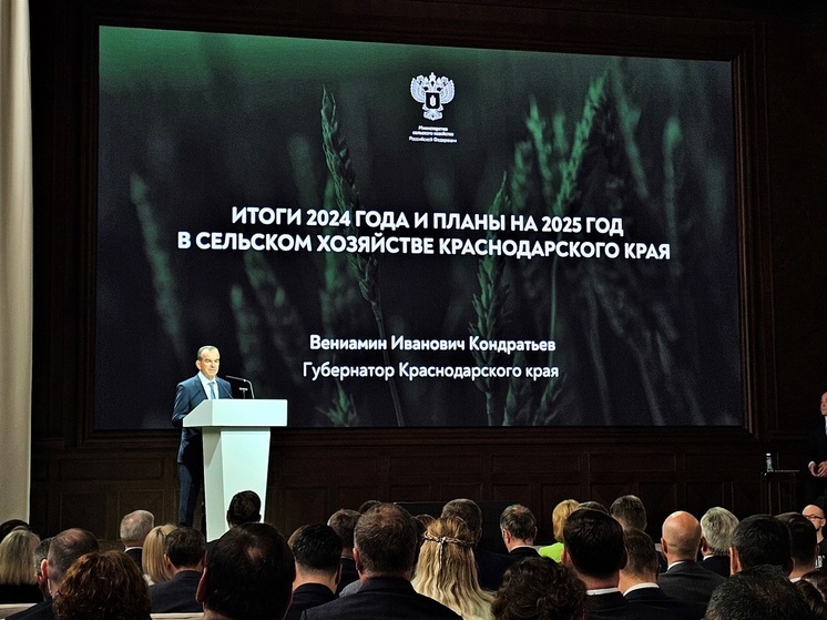 Кондратьев выступил за защиту виноградопригодных земель на федеральном уровне