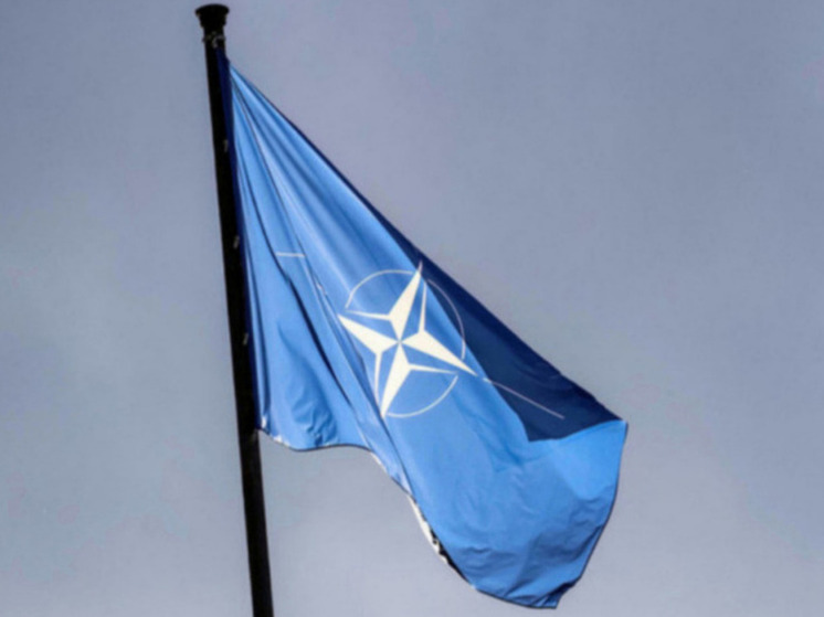 Профессор Дизен: НАТО должна остановить свое расширение и прекратить войну