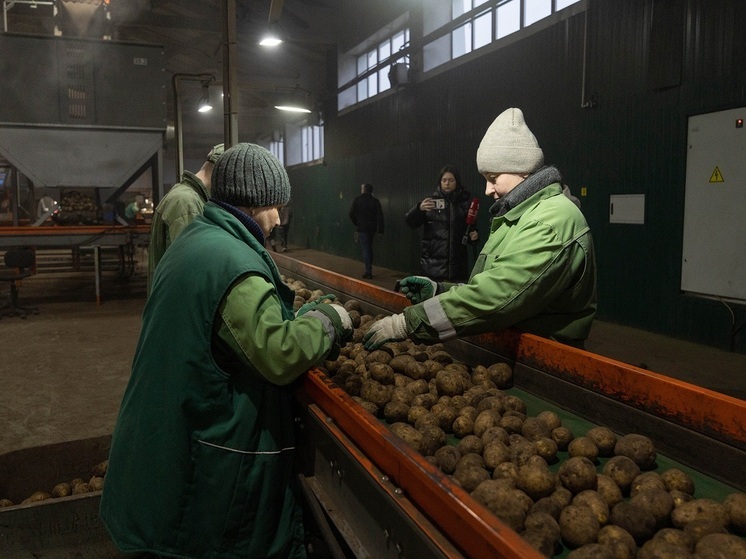 Объем исков к ООО «Спасское» имени Стародубцева вырос до почти 90 млн рублей