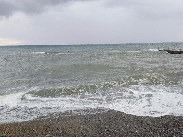 Вода в Калининградском заливе прогрелась до 16°C