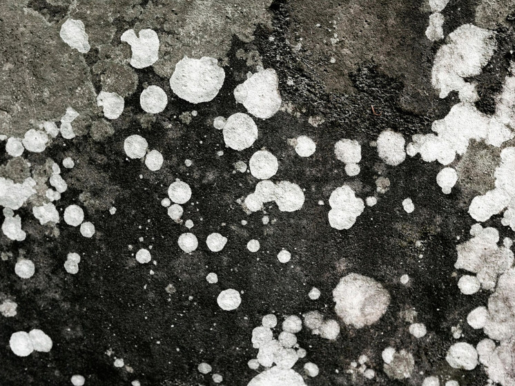 В Новосибирской области произошел сильный град размером с яйцо