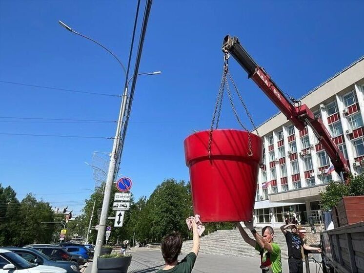Цветочный наряд Кирова: новые решения и любимые сорта к летнему сезону