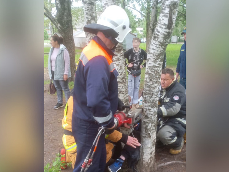 Новгородские спасатели пришли на помощь ребенку, застрявшему между двух деревьев