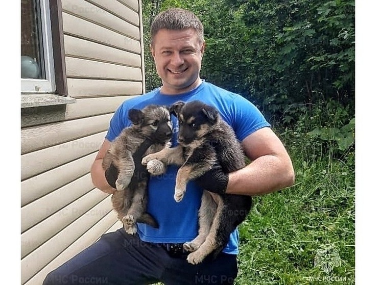 Орловские МЧСники спасли застрявших в фундаменте щенков