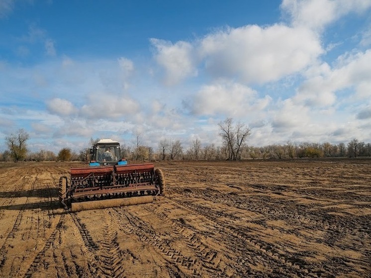 На полях Волгоградской области завершается весенний сев яровых культур