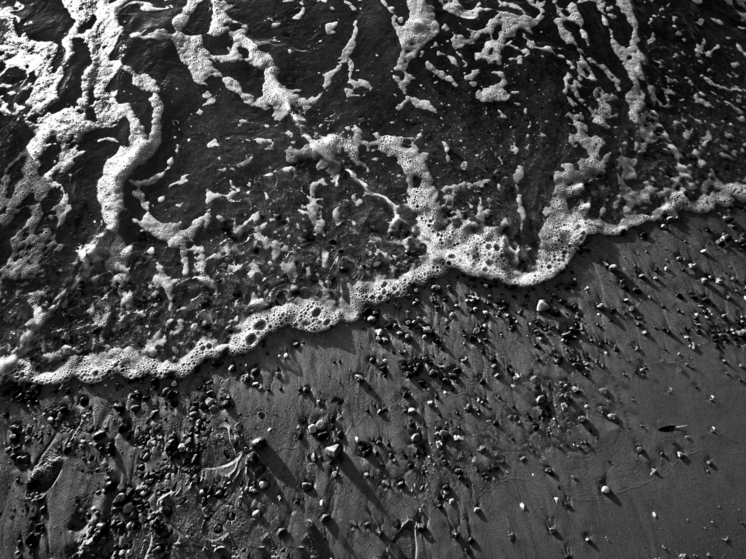 Учёный из Пермского Политеха прeдложил очистить пляжeй Анапы от мазута при помощи струвита