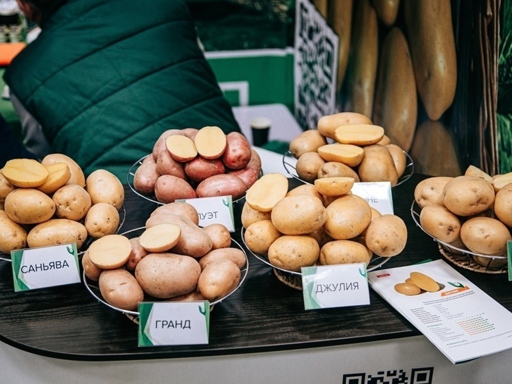 В Чувашии начинается приём заявок на субсидии для элитного семеноводства