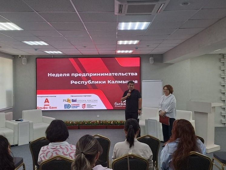 Для предпринимателей Калмыкии проводят тематическую неделю