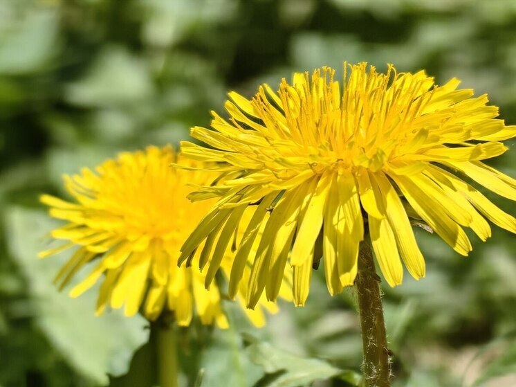 Жара и магнитные бури накроют Приморье на этой неделе