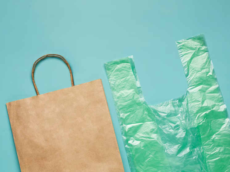 Минприроды: в РФ запретят тонкие пакеты толщиной меньше 20 микрометров