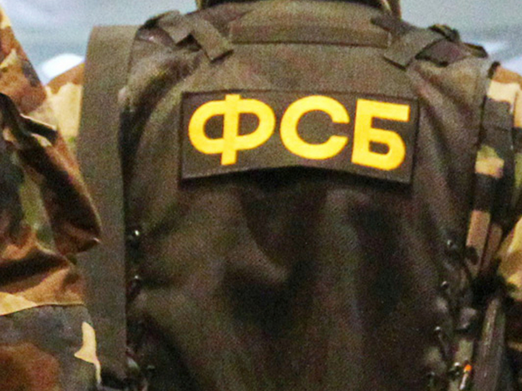 ФСБ пресекла деятельность подпольных оружейников в Воронежской области