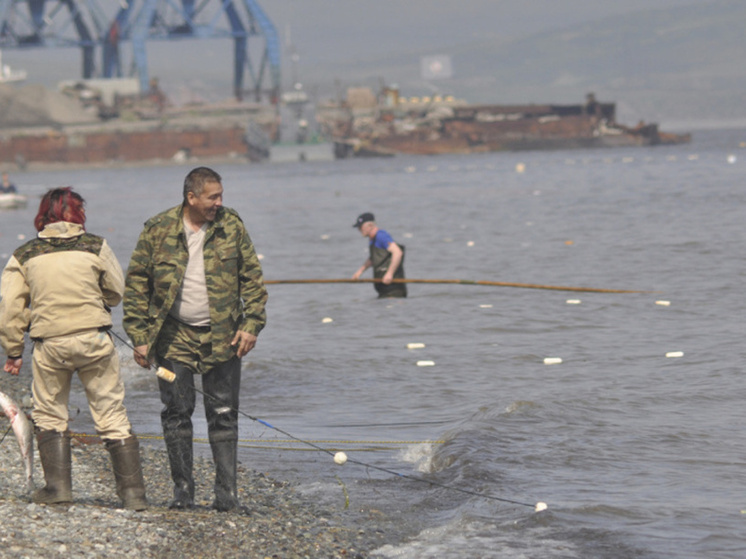 Свыше 660 тонн лососей разрешили выловить коренным жителям Чукотки