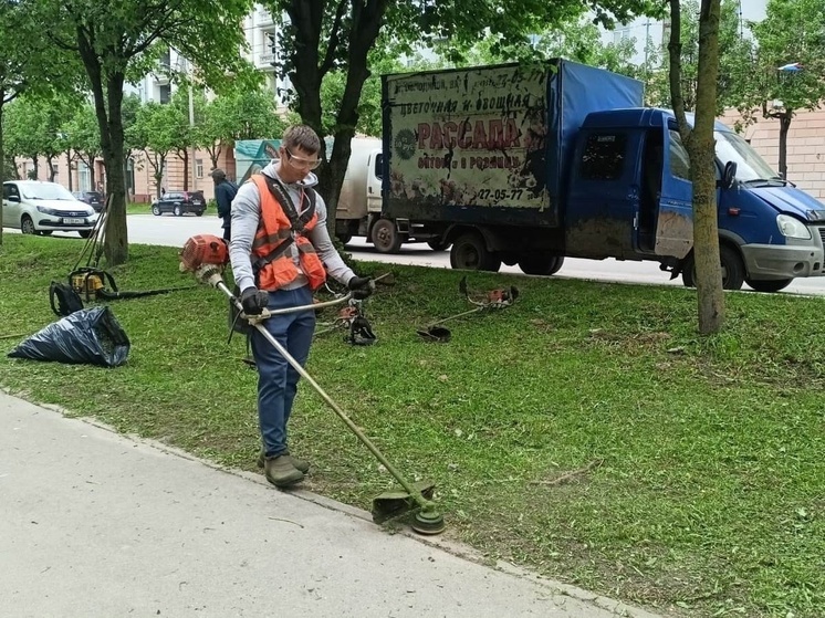 В Иванове начали выкашивать газоны