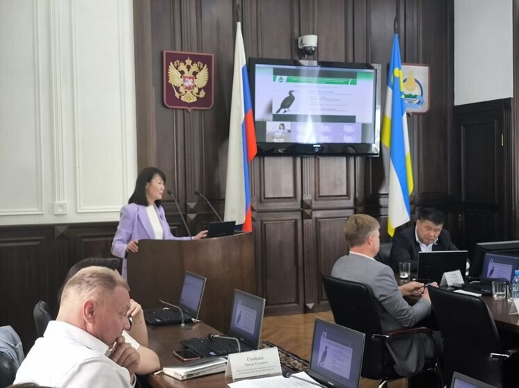 В Бурятии констатировали уменьшение численности бакланов на 3 процента