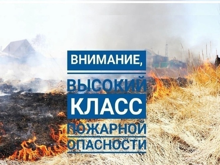 Из-за аномальной жары в Костромской области введен четвертый класс пожароопасности