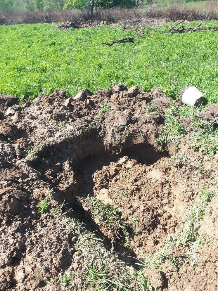 В Оленинском округе Тверской области подняли останки 15 бойцов и командиров Красной Армии