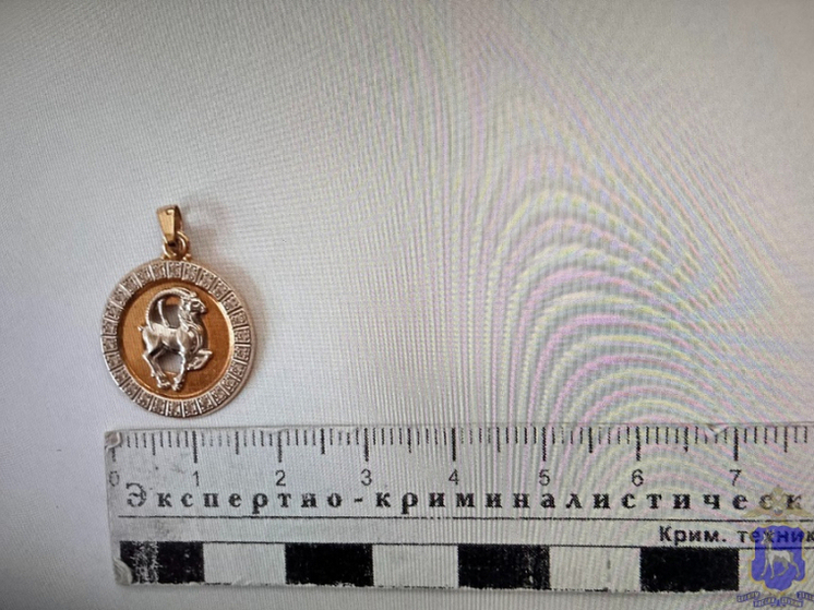 В Жигулёвске в суд отправлено дело о грабеже золотых украшений жителем Тольятти