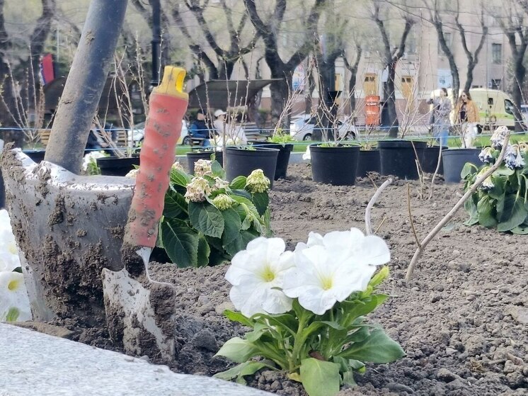 Жители Благовещенска смогут подать заявку на фестиваль цветов «Город в цвете» до 31 мая