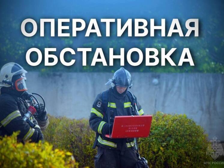 Горели дом, мусор и постройка: в МЧС Тверской области опубликовали статистику за вторник