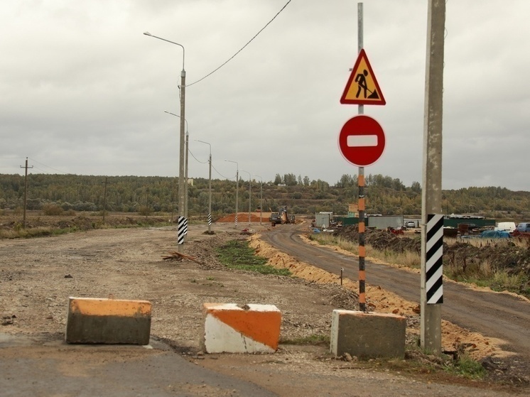На ремонт моста через тульскую реку Снежедок потратят 255,6 млн рублей