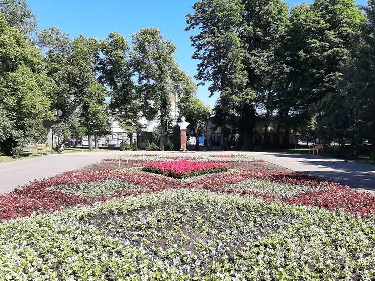 Фотофакт: в саратовских Липках высадили цветник