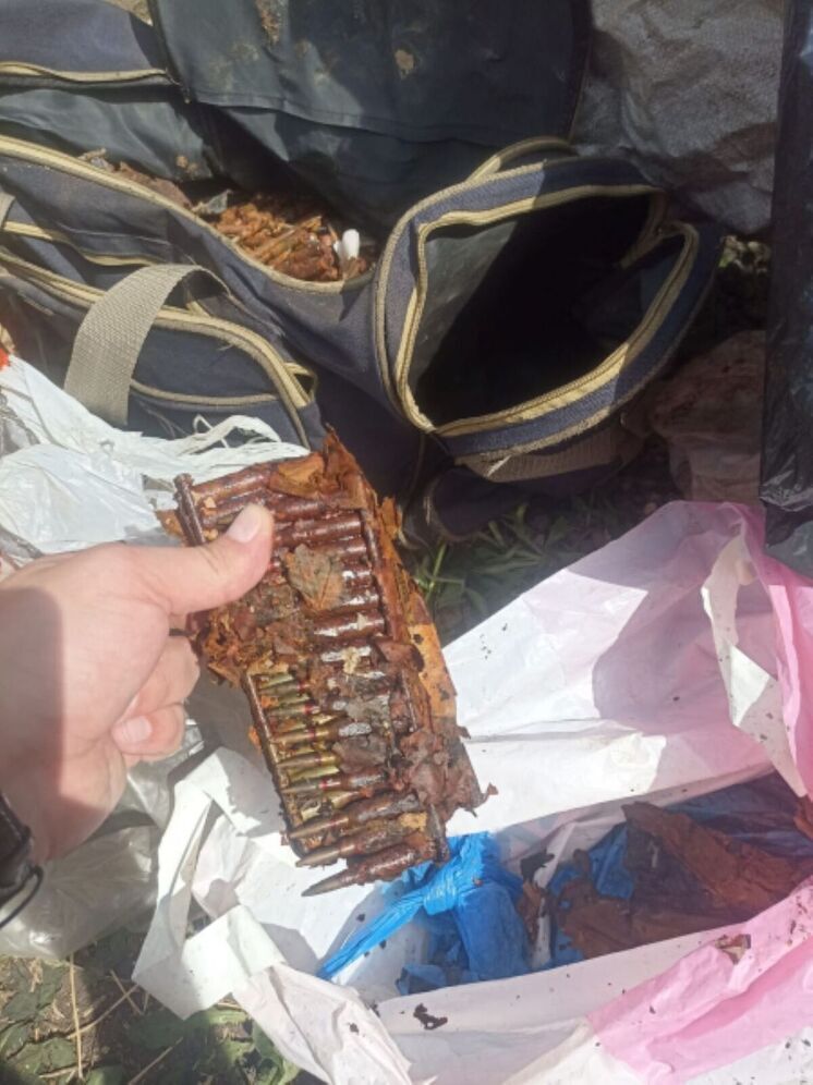 В Тамбовской области пенсионер нашел на своем участке схрон с оружием и боеприпасами