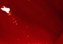 Представитель Naval Research Laboratory, где был разработан прибор LASCO, Карл Баттамс предположил, что "птица над Солнцем", которую прибор запечатлел 24 мая, могла быть следом заряженной частицы, сообщает Лаборатория рентгеновской астрономии Солнца Института космических исследований и Института солнечно-земной физики Российской академии наук