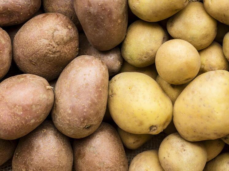 Зампредседателя брянской Общественной палаты рассказал о поиске дешевой картошки