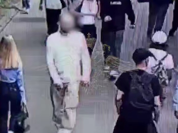 Психопат, подбросивший животным таблетки, «хотел привести их в чувство»