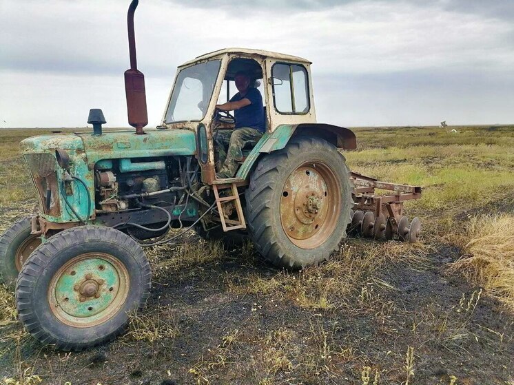 Пожар на заповедной территории Херсонщины локализовали спасатели