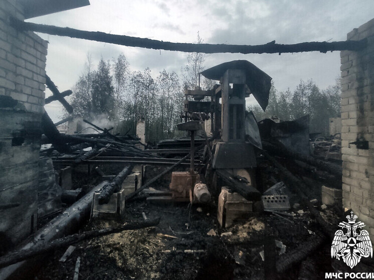 Крупный пожар произошел на пилораме в Кирилловском округе