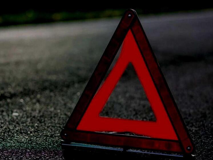 В брянском Сельцо под колесами Toyota Corolla погибла 72-летняя женщина