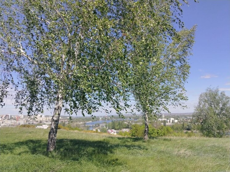 Кратковременные дожди и тепло придут в Белгородскую область в четверг