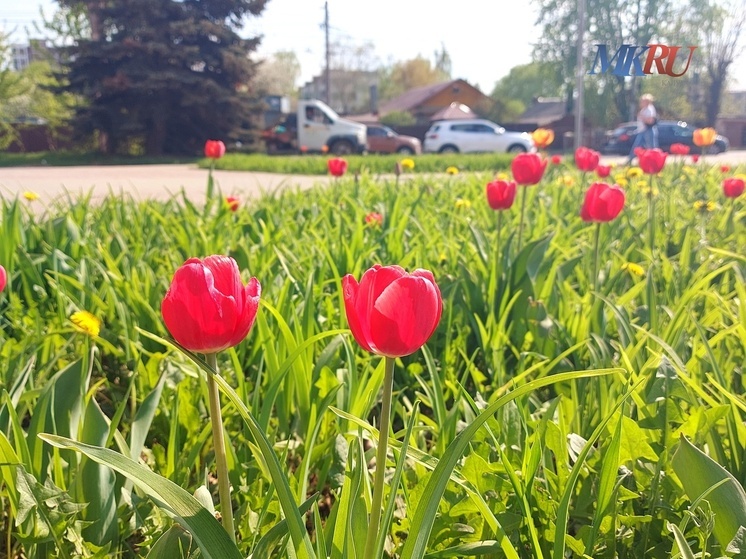 В Калуге начнут действовать новые правила расчёта выбросов