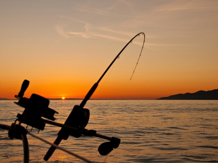 Российские рыбаки поймали "Чужого", поставив в замешательство ихтиологов