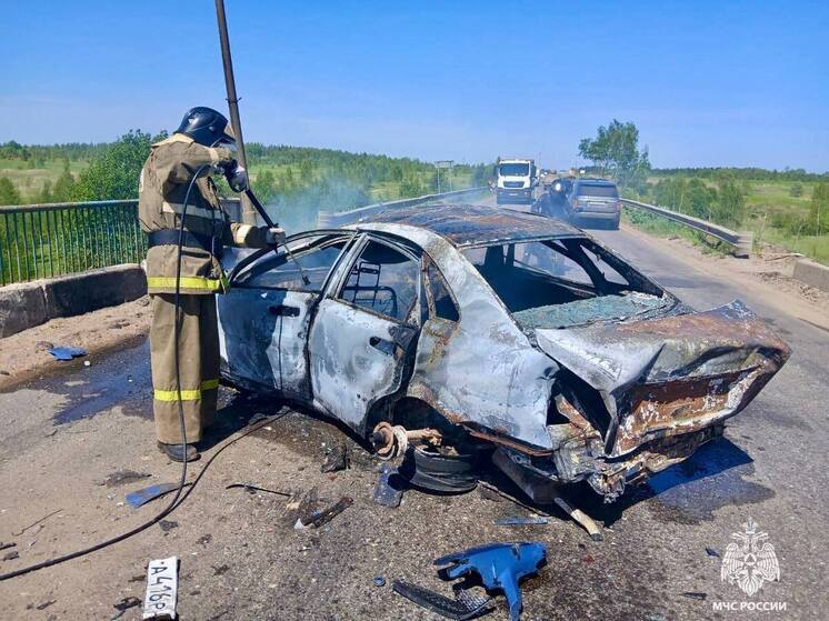 В Тверской области легковушка сгорела на мосту после столкновения с грузовиком