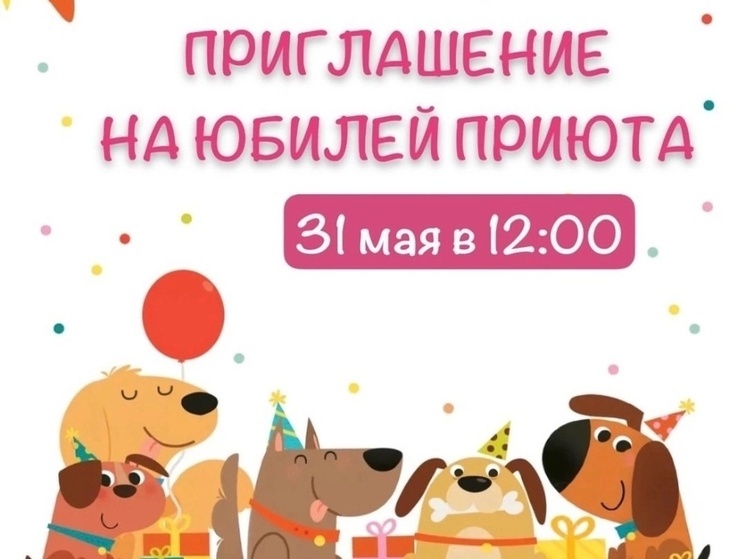 В Самаре пройдет празднование 10-летнего юбилея приюта для животных «Лакшми»