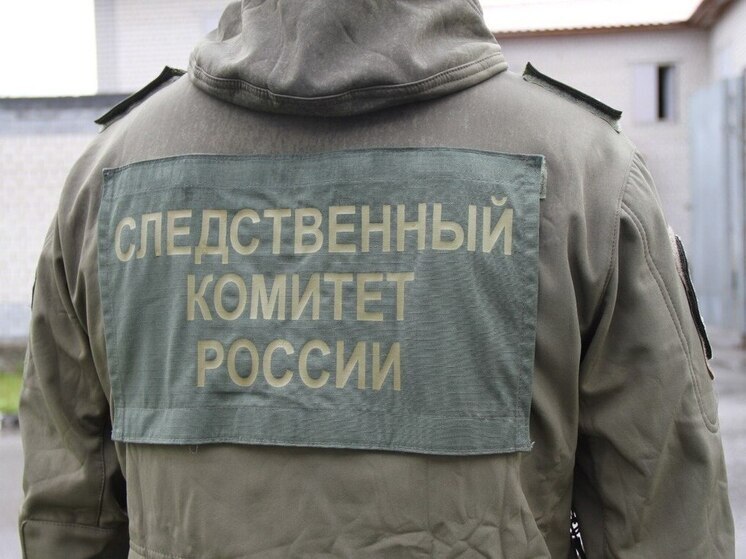 Установлена личность матери найденного среди мусора младенца в Рязани