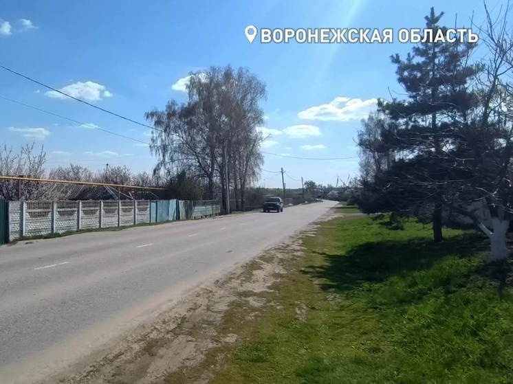 Жители села в Воронежской области обратились на прямую линию с президентом