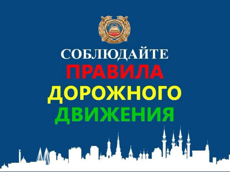 Автоинспекторы оштрафовали в Альметьевске водителя за езду по тротуару
