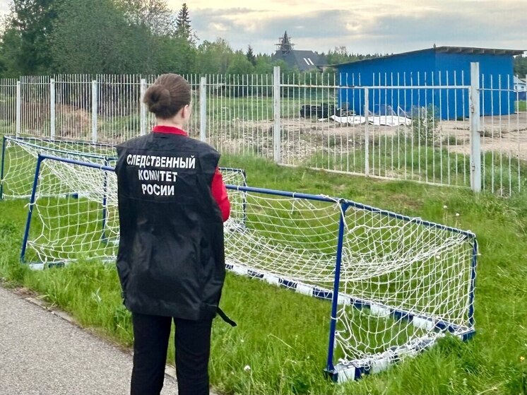 Футбольные ворота упали на девятилетнего мальчика в Сямже