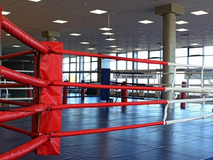 Молодежная сборная Чеченской Республики завоевала 4 медали на Первенстве России по боксу